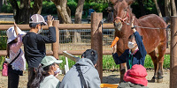 ウマのなかよし教室| キャステル | CASTEL ディズニー情報