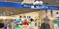 美ら海水族館のブルーマンタ| キャステル | CASTEL ディズニー情報
