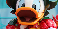 ドナルド| キャステル | CASTEL ディズニー情報