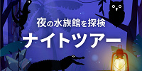 夜の水族館を体験ナイトツアー| キャステル | CASTEL ディズニー情報