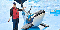 名古屋港水族館の公開トレーニング| キャステル | CASTEL ディズニー情報