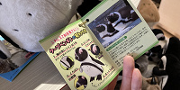 ぬいぐるみは飼育スタッフさんの解説つき| キャステル | CASTEL ディズニー情報