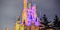 ガラスの靴| キャステル | CASTEL ディズニー情報
