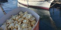 ポップコーントング購入時のルール| キャステル | CASTEL ディズニー情報