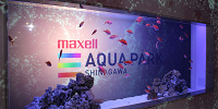 水槽の魚もテーマごとに変わります| キャステル | CASTEL ディズニー情報