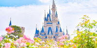 混雑が予想される理由とは？| キャステル | CASTEL ディズニー情報