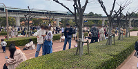 ディズニーシー10時30分入園待ちの様子（2022年4月7日）| キャステル | CASTEL ディズニー情報