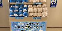 はずれなしのイルカくじ| キャステル | CASTEL ディズニー情報