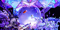 JAPANESE AQUARIUM DISCO（ジャパニーズアクアリウムディスコ）| キャステル | CASTEL ディズニー情報