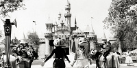 1955年のミッキーとドナルド| キャステル | CASTEL ディズニー情報