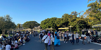 ザ・ヴィランズ・ロッキン・ハロウィーン待ちの様子 2022年10月1日(土)16時30分ごろ| キャステル | CASTEL ディズニー情報