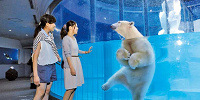 海獣館・ふれあい広場へ| キャステル | CASTEL ディズニー情報