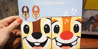 チップ＆デールのスタイセット| キャステル | CASTEL ディズニー情報
