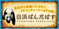 東京からバスでアドベンチャーワールドへ！（西武バス公式サイト）| キャステル | CASTEL ディズニー情報