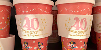 タンブラー（ディズニー40周年グッズ）| キャステル | CASTEL ディズニー情報