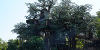 香港ディズニーランドのアトラクション：ターザン・ツリーハウス| キャステル | CASTEL ディズニー情報