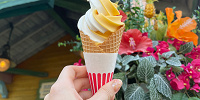 ソフトクリーム（アップルマンゴーとミルクのミックス）| キャステル | CASTEL ディズニー情報