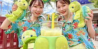 オル・メルコーデ| キャステル | CASTEL ディズニー情報