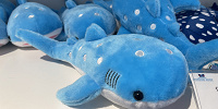 海遊館/ジンベエザメぬいぐるみ| キャステル | CASTEL ディズニー情報