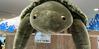 海遊館/ウミガメぬいぐるみ| キャステル | CASTEL ディズニー情報