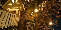 夜のツリーハウス| キャステル | CASTEL ディズニー情報