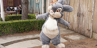 とんすけ​| キャステル | CASTEL ディズニー情報