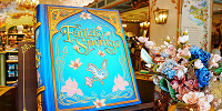 妊婦さんと赤ちゃんのファンタジースプリングスで気になるチェックポイント＆注意点| キャステル | CASTEL ディズニー情報