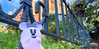 【9/1発売】ディズニーハロウィンのスーベニアグッズまとめ！種類、販売場所、販売期間一覧