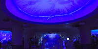 新江ノ島水族館（えのすい）：クラゲショー「海月の宇宙（くらげのそら）」| キャステル | CASTEL ディズニー情報