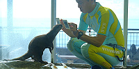 新江ノ島水族館（えのすい）：カワウソ| キャステル | CASTEL ディズニー情報