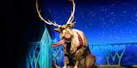 香港ディズニーのアナ雪エリア「ワールドオブフローズン」：施設数| キャステル | CASTEL ディズニー情報