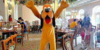 【体験談】香港ディズニー「エンチャンテッドガーデンレストラン」を攻略！朝食・ランチ・ディナーでキャラクターダイニング！