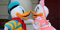デイジーダックと中睦まじい様子を見せるドナルド| キャステル | CASTEL ディズニー情報