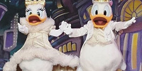 ドナルド＆デイジーも| キャステル | CASTEL ディズニー情報
