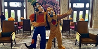 上海ディズニーランドホテル：ロビーでグーフィーやプルートなどがグリーティングをしていることも| キャステル | CASTEL ディズニー情報