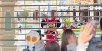 ディズニーランドの開園前グリーティング| キャステル | CASTEL ディズニー情報