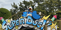 ショーに登場したドナルド| キャステル | CASTEL ディズニー情報