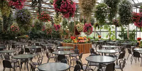 王国レストラン 「花のキッチン」| キャステル | CASTEL ディズニー情報