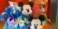 ディズニーランド35周年のコスチュームがかわいい♡| キャステル | CASTEL ディズニー情報