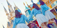 仲良くダンボに| キャステル | CASTEL ディズニー情報