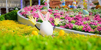 春のディズニー| キャステル | CASTEL ディズニー情報
