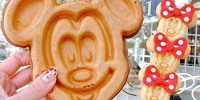 おすすめカメラアプリ| キャステル | CASTEL ディズニー情報