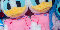 デイジーモコモコぬいぐるみ| キャステル | CASTEL ディズニー情報