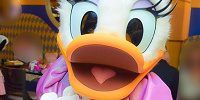 デイジー| キャステル | CASTEL ディズニー情報