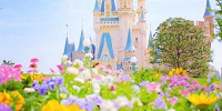 デートを失敗に終わらせない秘策とは…？| キャステル | CASTEL ディズニー情報