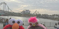 エルモとモッピーのカチューシャ| キャステル | CASTEL ディズニー情報