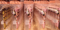 ボールペン（デイジー）| キャステル | CASTEL ディズニー情報