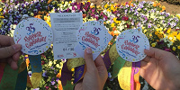 当選したファストパス| キャステル | CASTEL ディズニー情報