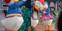ドナルド＆デイジーがセントラルパークへ| キャステル | CASTEL ディズニー情報
