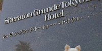 ワンちゃんと宿泊できるのは、東京ディズニーリゾートでここだけ| キャステル | CASTEL ディズニー情報